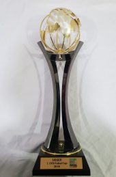 pokal pokal